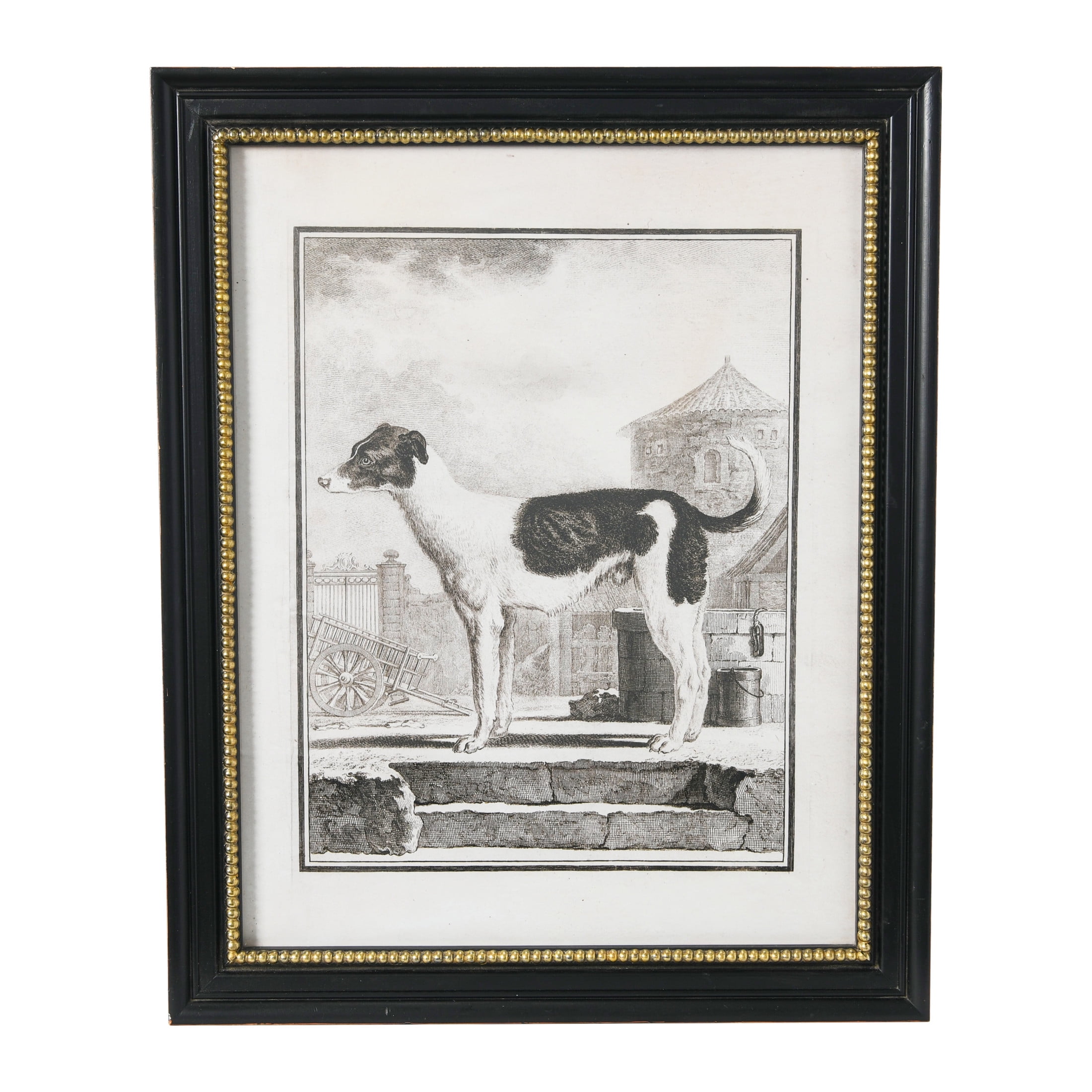 Vintage Black and White Framed Dog Print 32" x 26"