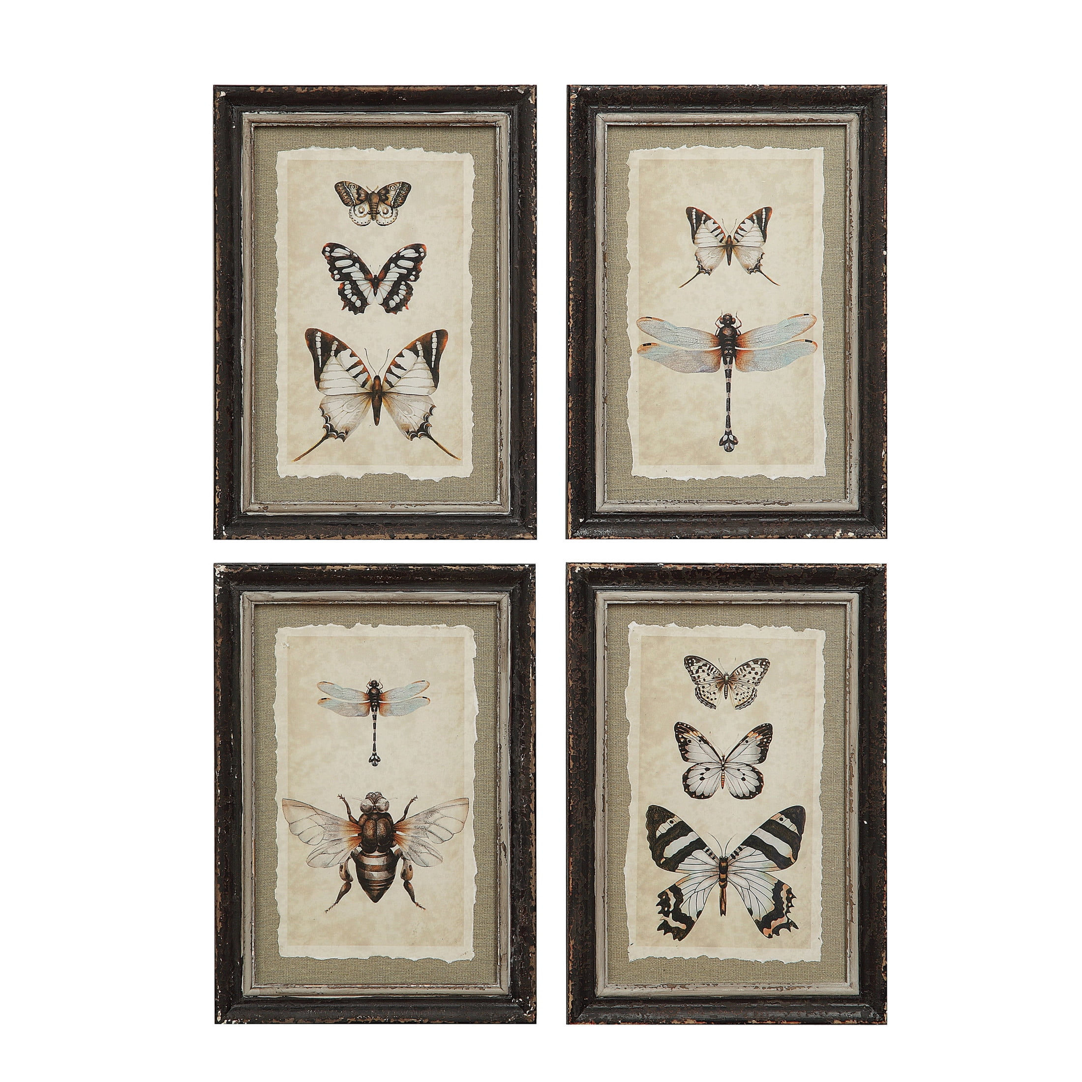 Wood Framed Vintage Insect Prints Set of 4