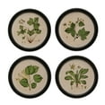 thumbnail image 1 of Creative Co-Op Wood Framed Wall Décor with Vintage Reproduction Botanical Print, Multicolor, Set of 4, 1 of 1