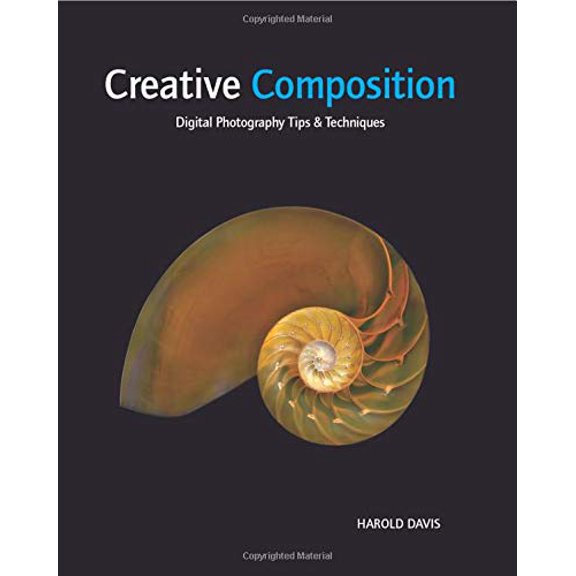 Pre-Owned Creative Composition: Digital Photography Tips and Techniques (Paperback) 0470527145 9780470527146