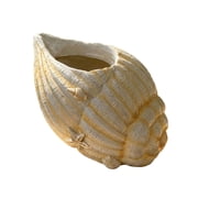 Creative Conch Shell Resin Planter, Artistic Sea Shell Flower Pot for Garden Decoration, Ocean Themed Outdoor Ornament, B