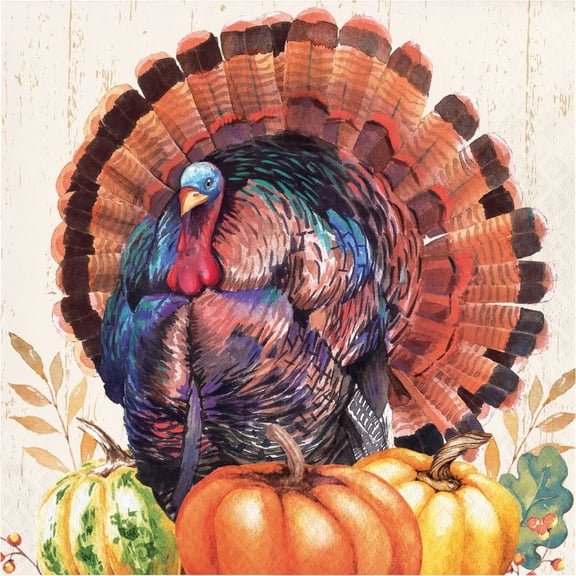 Thanksgiving Harvest Turkey Paper Lunch Napkins 16 Per Pack