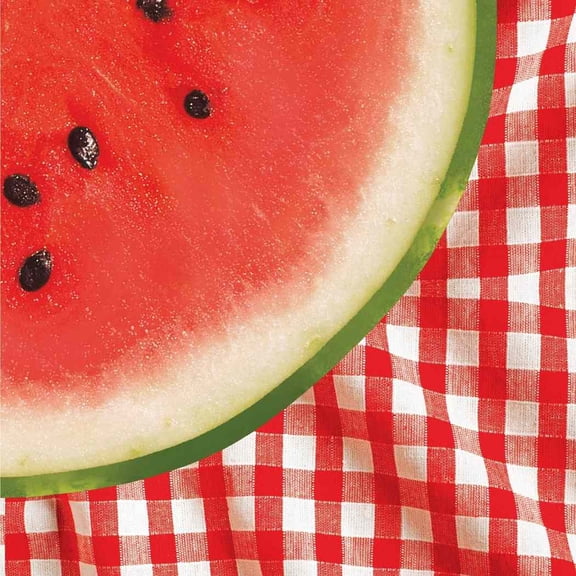 Watermelon Check Summer Luau Beach Picnic Cookout Party Paper Luncheon Napkins