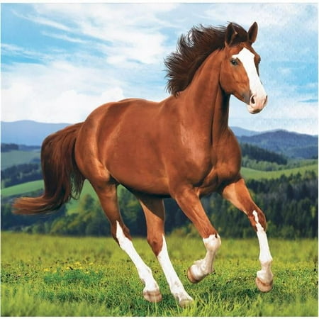 Creative Converting 339764 Wild Horse Beverage Napkins, 16 Count
