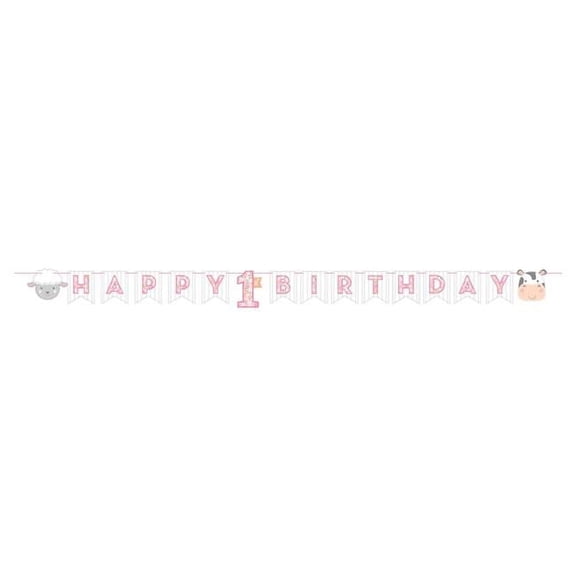 Creative Converting Farmhouse 1st Birthday Girl Banner, Multicolor, Pack of 1