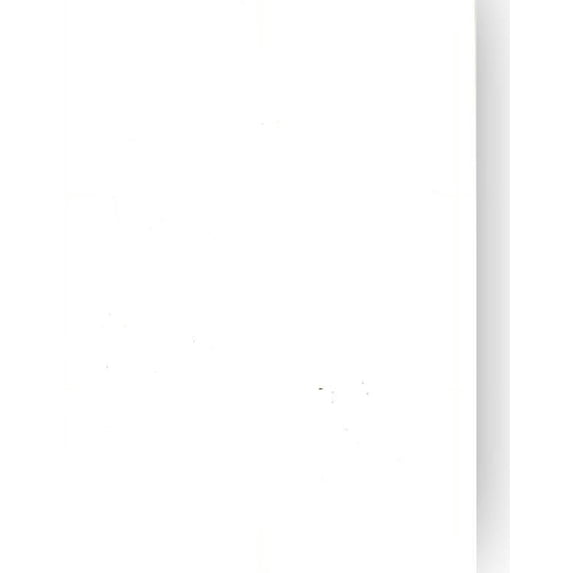 Creative Expressions Foundation Cardstock 25 shts 220 gsm - Milk White