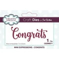 thumbnail image 1 of Creative Expressions Mini Expressions Collection Congrats Die, 1 of 1