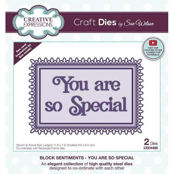 Creative Expressions Sue Wilson Block Sentiments You Are So Special Craft Die