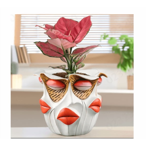 Creative Face Shaped Resin Planter Pot, Unique Sculptural Holder for Indoor Home Decor