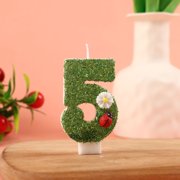 Creative Green Series Seven-Star Ladybug Birthday Cake Candles - Numbers 1-9 for Kids' Parties