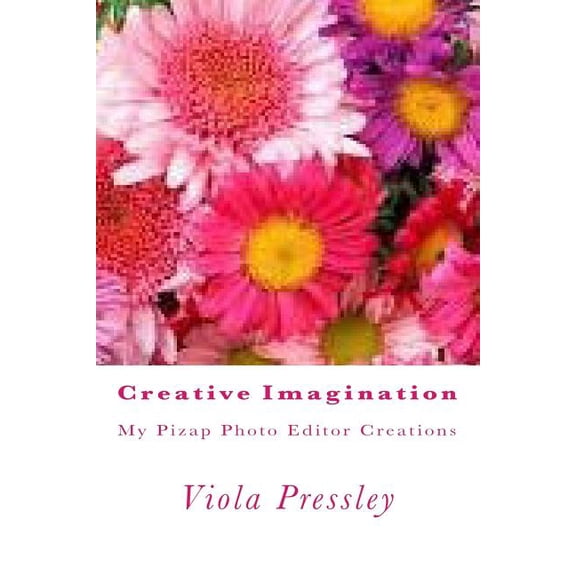 Creative Imagination: My Pizap Photo Editor Creations (Paperback)
