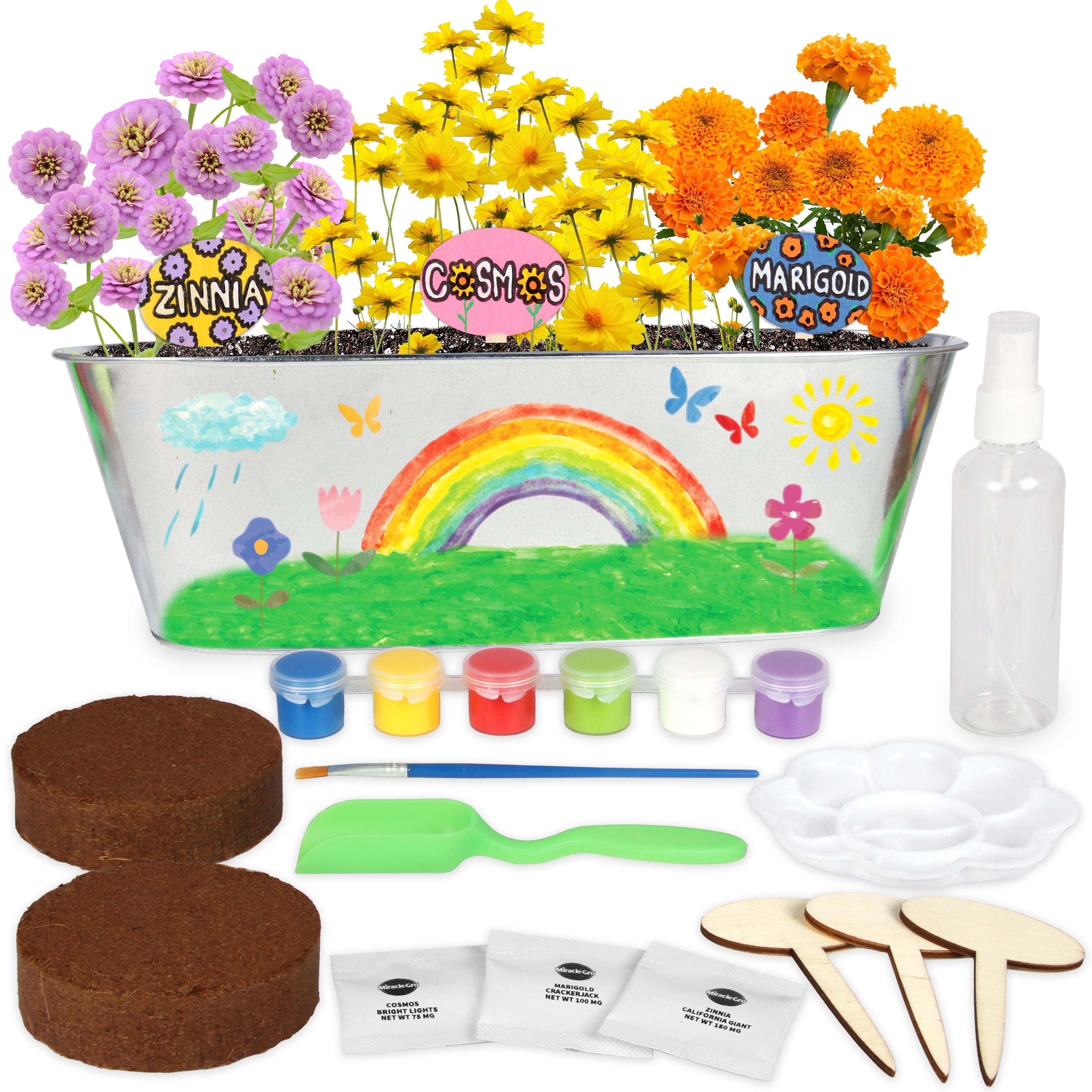 Creative Kids Miracle Gro Paint and Plant My First Flower Growing Kit