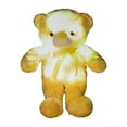 thumbnail image 1 of Creative Light Up LED Inductive Teddy Bear Stuffed Animals Plush Toy Colorful Glowing Teddy Bear, 18in, 1 of 7