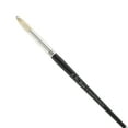 thumbnail image 1 of Creative Mark Pro Stroke Premium White Chungking Hog Bristle Artist Paint Brush - Round # 12 - Natural Bristle Brush w/ Great Control Suitable for Oils, Watercolors, Acrylics, Alkyds, Caseins, 1 of 6