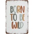 Creative Metal Tin Sign Pop Club Prints,Born to Be Wild WallArt