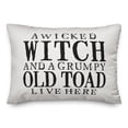 thumbnail image 1 of Creative Products A Wicked Witch and Grumpy Toad 14x20 Indoor / Outdoor Pillow, 1 of 2