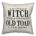 thumbnail image 1 of Creative Products A Wicked Witch and Grumpy Toad 16x16 Spun Poly Pillow, 1 of 2