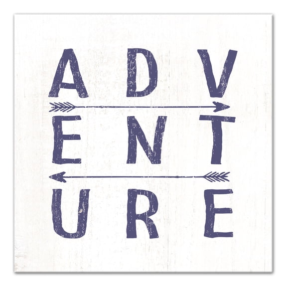 Creative Products Adventure Arrows  20x20 Canvas Wall Art