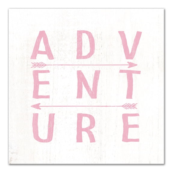 Creative Products Adventure Arrows Pink  24x24 Canvas Wall Art