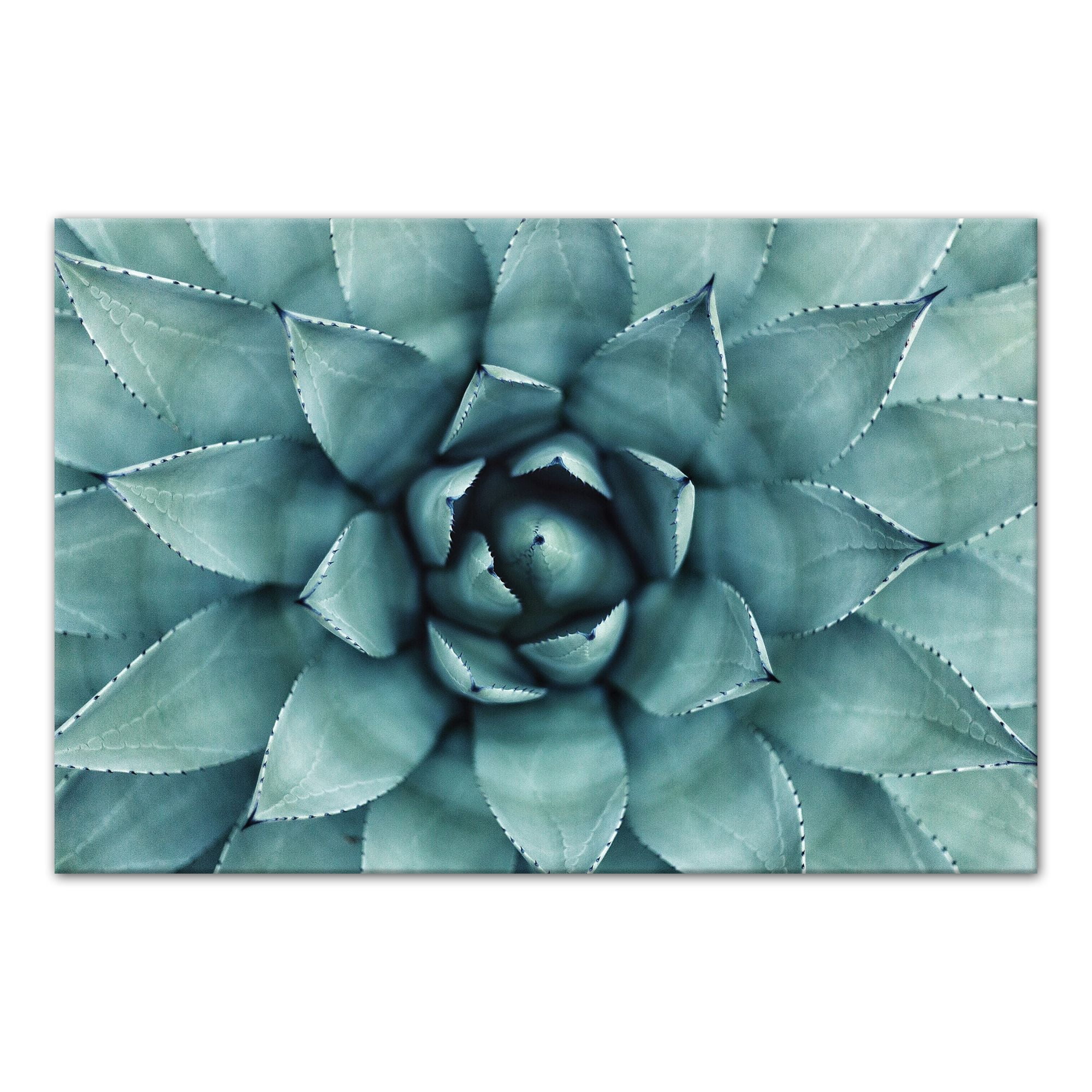 Large Green Agave Canvas Wall Art with MDF Backing