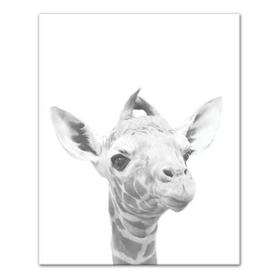Creative Products Baby Giraffe 16x20 Canvas Wall Art