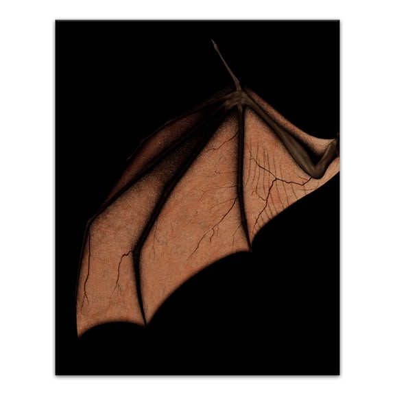 Creative Products Bat Wing Left 24x30 Canvas Wall Art