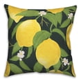 thumbnail image 1 of Creative Products Black and Yellow Lemon 18 x 18 Spun Poly Pillow, 1 of 3