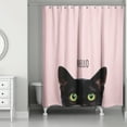 thumbnail image 1 of Creative Products Blush Hello Kitty  71x74 Shower Curtain, 1 of 2