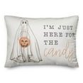 thumbnail image 1 of Creative Products Candy Ghost 20 x 14 Spun Poly Pillow, 1 of 3