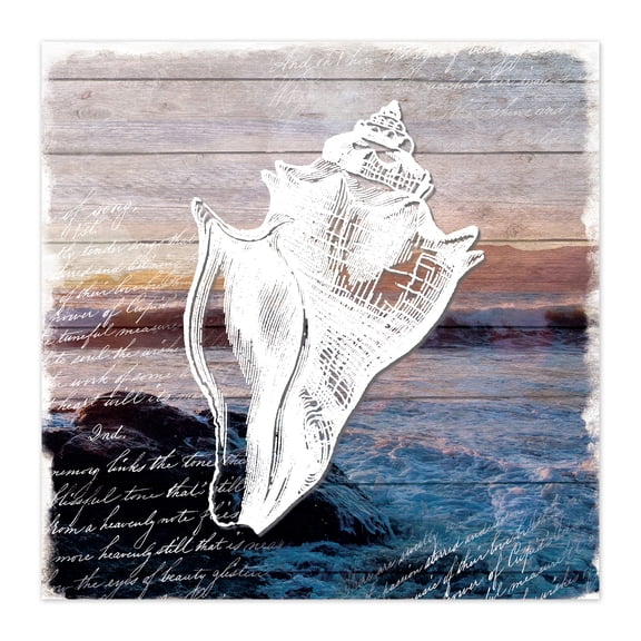 Creative Products Conch Shell 20x20 Canvas Wall Art