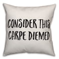 thumbnail image 1 of Creative Products Consider This Carpe Diemed 18x18 Spun Poly Pillow, 1 of 1