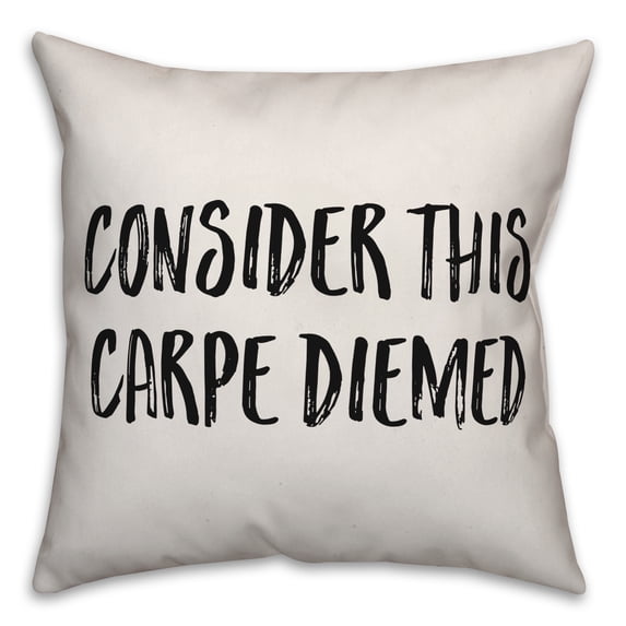 Creative Products Consider This Carpe Diemed 18x18 Spun Poly Pillow
