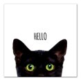 thumbnail image 1 of Creative Products Curious Hello Black Cat 20 x 20 Canvas Wall Art, 1 of 5