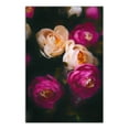 thumbnail image 1 of Creative Products Dark Painted Magenta Flowers 20x30 Canvas Wall Art, 1 of 5