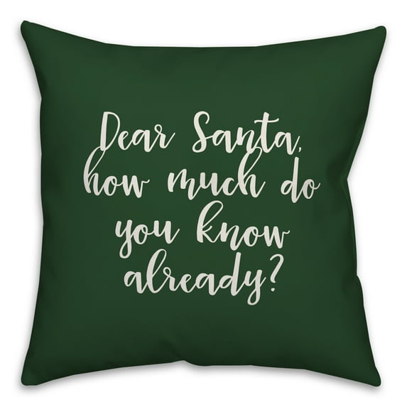 Creative Products Dear Santa in Dark Green 18x18 Spun Poly Pillow