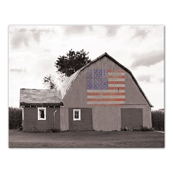 Creative Products Distressed Barn Flag 14x11 Canvas Wall Art