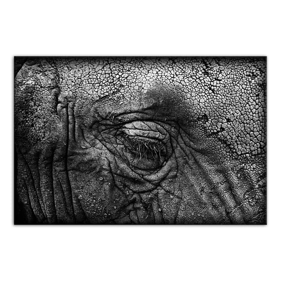 Creative Products Elephant Skin Texture 20x30 Canvas Wall Art