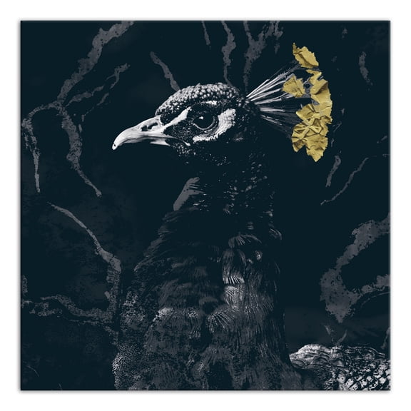 Creative Products Fancy Peacock Deep Teal 12 x 12 Canvas Wall Art