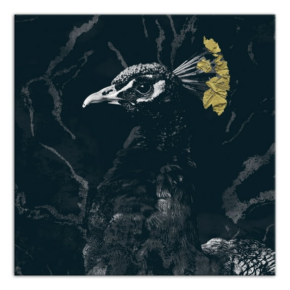 Creative Products Fancy Peacock Deep Teal 2 16 x 16 Canvas Wall Art