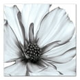 thumbnail image 1 of Creative Products Grey and White Flower 36x36 Canvas Wall Art, 1 of 5