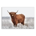 thumbnail image 1 of Creative Products Hairy Highland Cow in Gray Field 20x30 Canvas Wall Art, 1 of 5