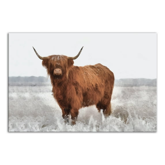 Creative Products Hairy Highland Cow in Gray Field 20x30 Canvas Wall Art