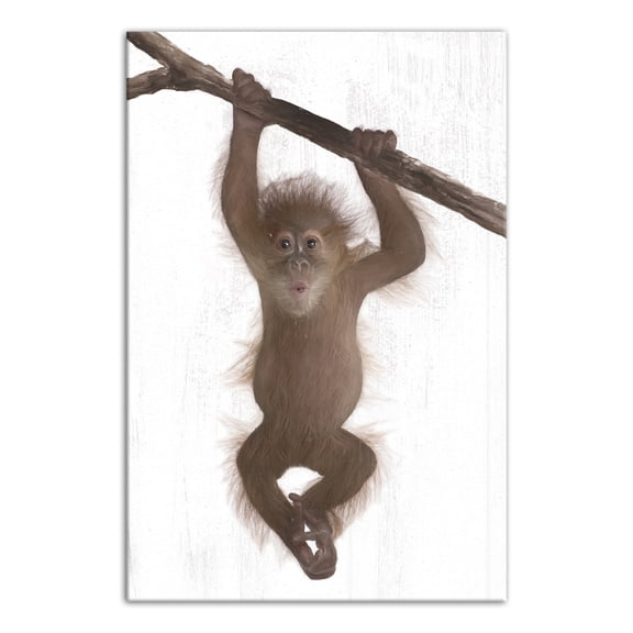 Creative Products Hanging Monkey 16 x 24 Canvas Wall Art