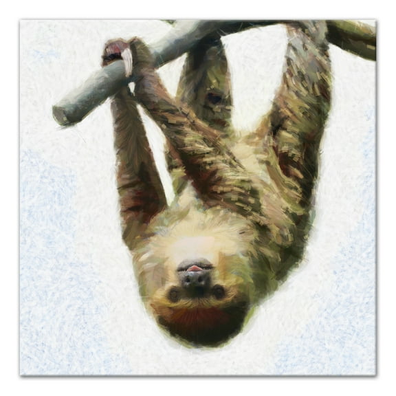 Creative Products Hanging Sloth 20x20 Canvas Wall Art