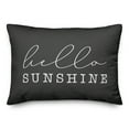thumbnail image 1 of Creative Products Hello Sunshine Script Black and White 14x20 Indoor / Outdoor Pillow, 1 of 1