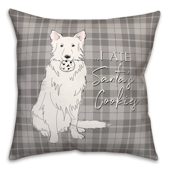 Creative Products I Ate Santa's Cookies 18x18 Spun Poly Pillow