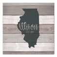 thumbnail image 1 of Creative Products Illinois Established 16x16 Canvas Wall Art, 1 of 5