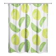 thumbnail image 1 of Creative Products Lime Citrus Pattern 71x74 Shower Curtain, 1 of 2