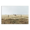 thumbnail image 1 of Creative Products Lone Horse Photography 24x36 Canvas Wall Art, 1 of 5