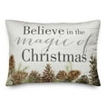 thumbnail image 1 of Creative Products Magic Christmas Pinecones 14x20 Spun Poly Pillow, 1 of 3